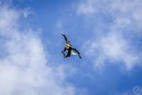 A Bald Eagle in the Air