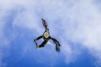 A Bald Eagle in the Air