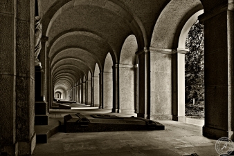 Hauptfiedhof Frankfurt (1)