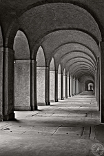 xHauptfiedhof Frankfurt (13)
