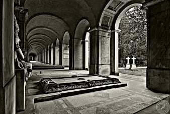 Hauptfiedhof Frankfurt (2)