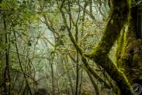 La Gomera, small canary island