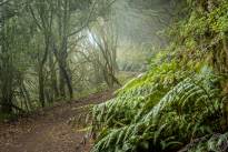 La Gomera, small canary island