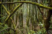 La Gomera, small canary island