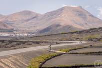 A desert vineyard (11)