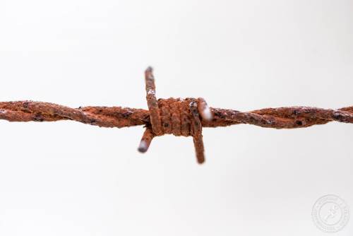 Alter, rostiger Stacheldraht