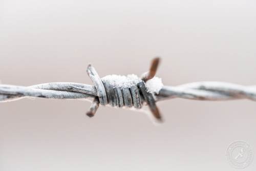 Alter, rostiger Stacheldraht