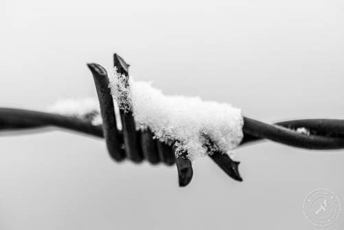 Alter, rostiger Stacheldraht