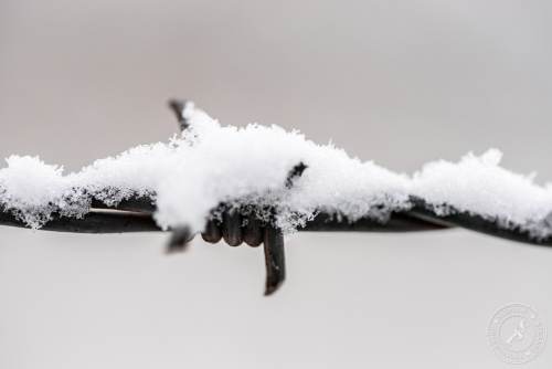 Alter, rostiger Stacheldraht
