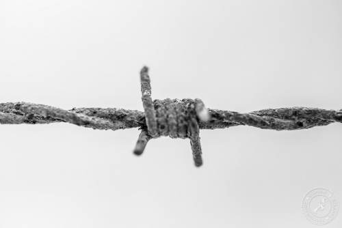 Alter, rostiger Stacheldraht