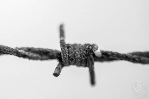Alter, rostiger Stacheldraht