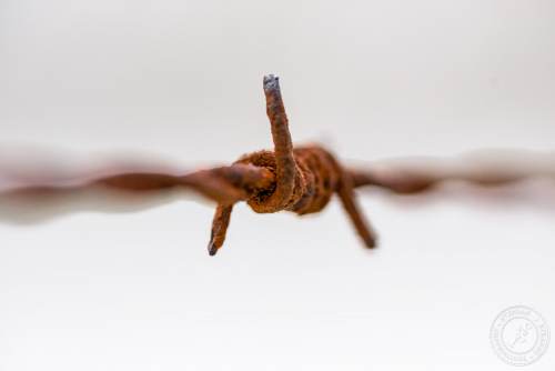 Alter, rostiger Stacheldraht