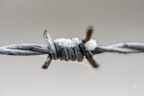 Alter, rostiger Stacheldraht
