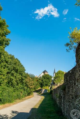 Burg Lichtenberg-2 HP (1)