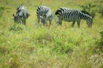 Kenia