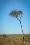 Kenia