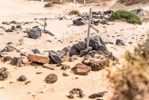 Fuerteventura