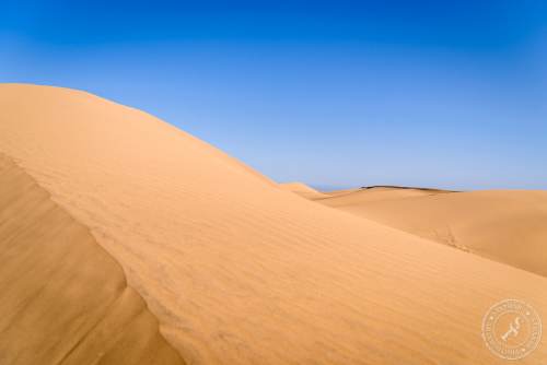 Die Dünen von Maspalomas