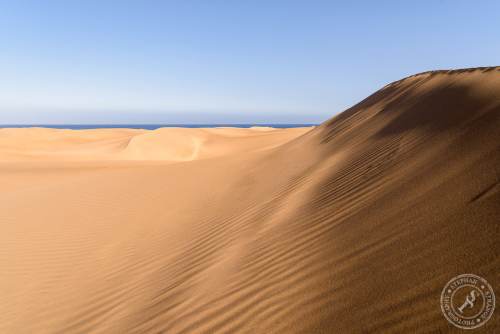 Die Dünen von Maspalomas