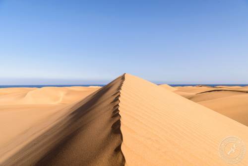 Die Dünen von Maspalomas