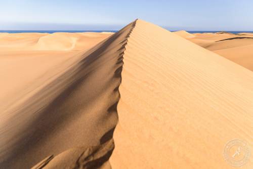 Die Dünen von Maspalomas