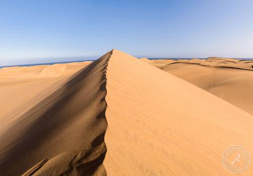 Die Dünen von Maspalomas