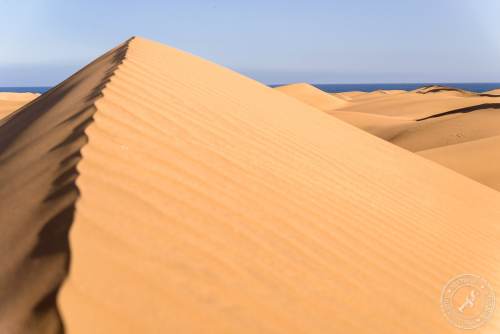 Die Dünen von Maspalomas