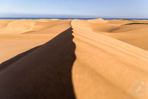 Die Dünen von Maspalomas