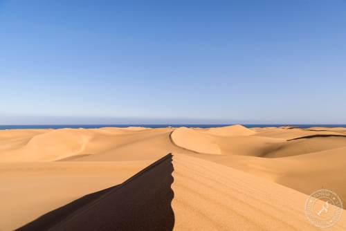 Die Dünen von Maspalomas