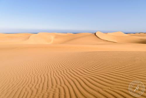 Die Dünen von Maspalomas
