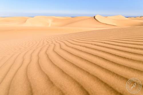 Die Dünen von Maspalomas