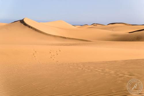Die Dünen von Maspalomas