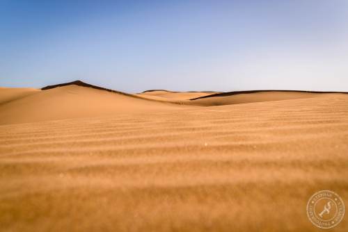 Die Dünen von Maspalomas