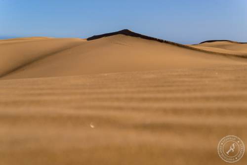 Die Dünen von Maspalomas