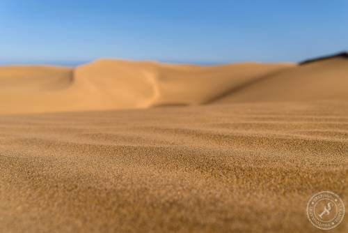 Dunas de Maspalomas