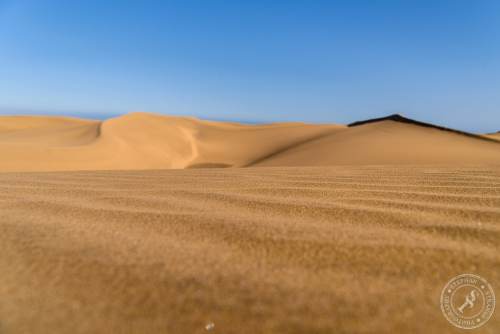 Die Dünen von Maspalomas