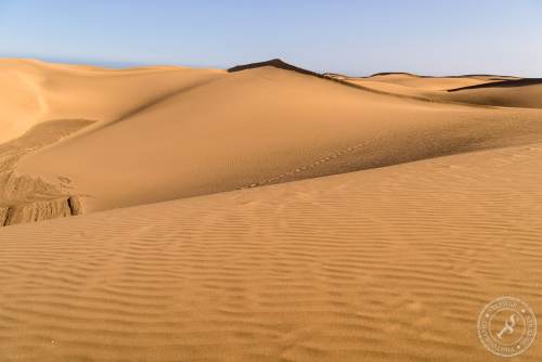 Die Dünen von Maspalomas