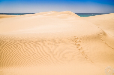 Dunas de Maspalomas - Endless Sand and Sea (12)