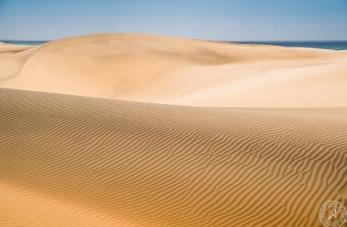 Dunas de Maspalomas - Endless Sand and Sea (8)