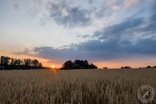 Erntezeit und Sonnenuntergang