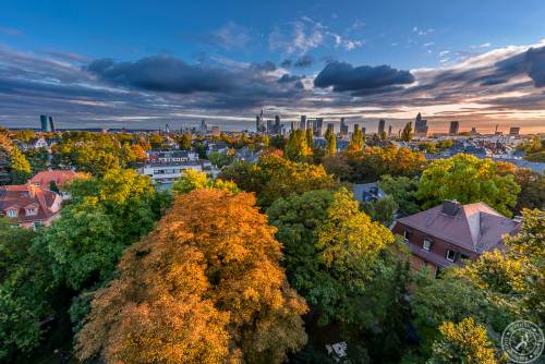 Frankfurt Herbst 2016