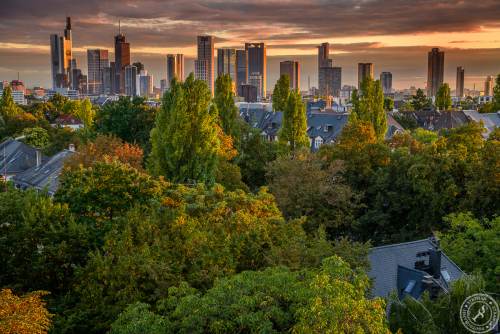 Frankfurt Herbst 2016