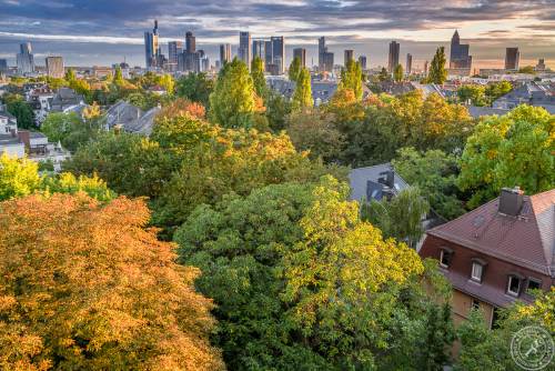 Frankfurt Herbst 2016