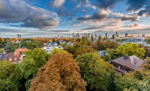 Frankfurt Herbst 2016