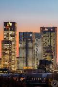 The Frankfurt Skyline Winter 2015