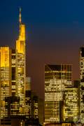 The Frankfurt Skyline Winter 2015