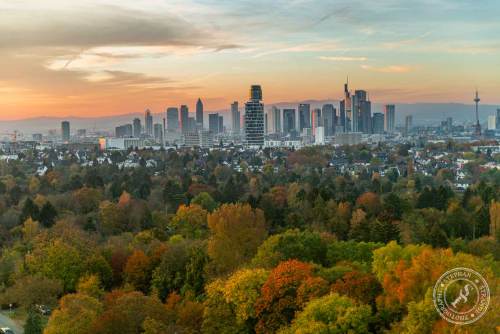 Der Blick vom Goetheturm aus auf die Frankfurter SkylineAusblick_vom_Goetheturm_2024-16