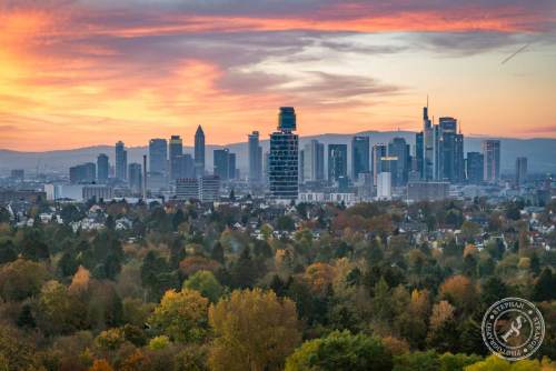 Der Blick vom Goetheturm aus auf die Frankfurter Skyline