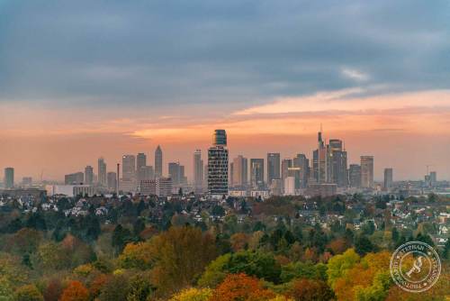 Der Blick vom Goetheturm aus auf die Frankfurter Skyline