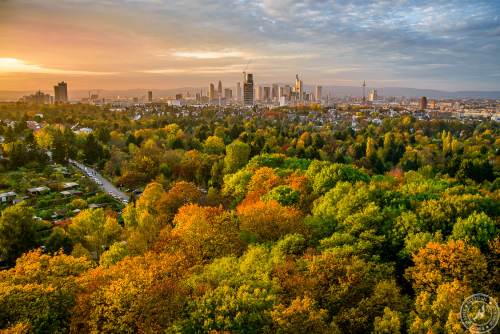 Goetheturm Frankfurt (10)